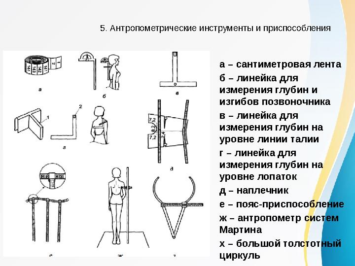 5. Антропометрические инструменты и приспособления а – сантиметровая лента б – линейка для измерения глубин и изгибов позвоноч