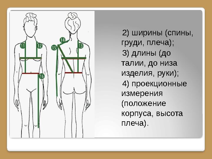2) ширины (спины, груди, плеча); 3) длины (до талии, до низа изделия, руки); 4) проекционные измерения (положение
