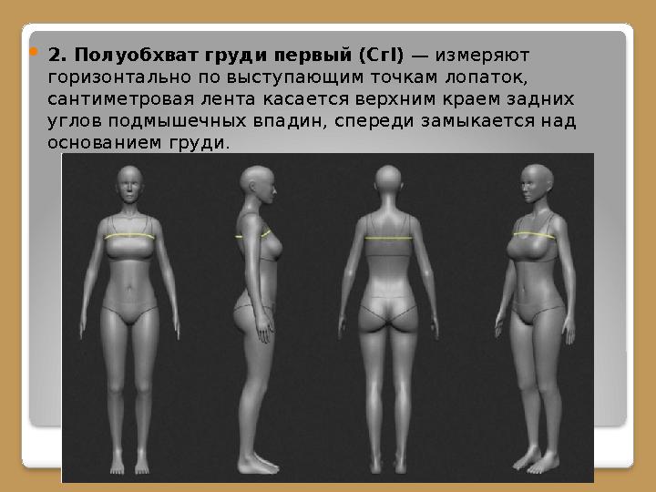 2. Полуобхват груди первый (Сг I) — измеряют горизонтально по выступающим точкам лопаток, сантиметровая лента касается верх