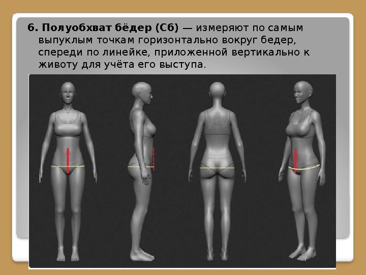 6. Полуобхват бёдер (Сб) — измеряют по самым выпуклым точкам горизонтально вокруг бедер, спереди по линейке, приложенной вер