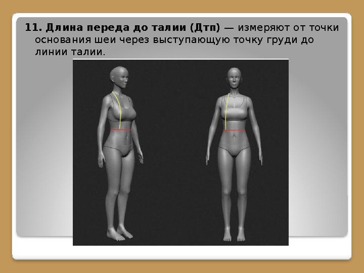 11. Длина переда до талии (Дтп) — измеряют от точки основания шеи через выступающую точку груди до линии талии.