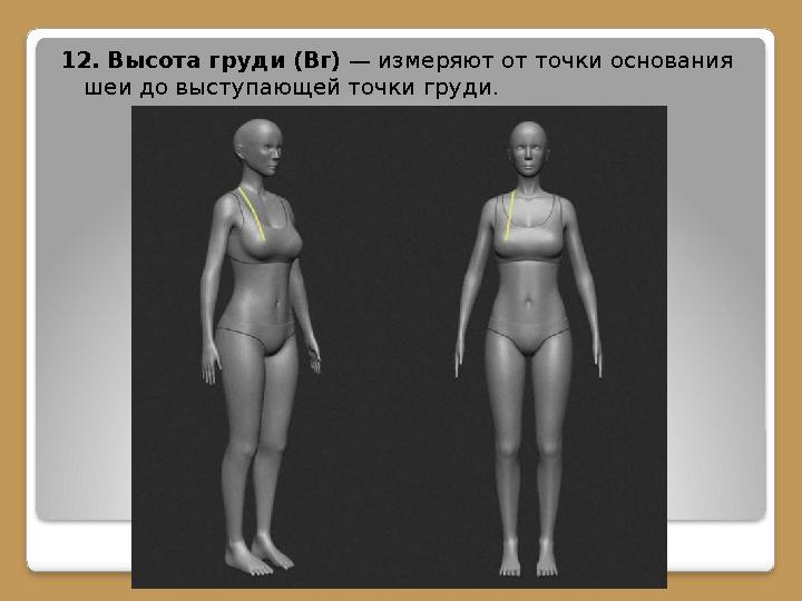 12. Высота груди (Вг) — измеряют от точки основания шеи до выступающей точки груди.