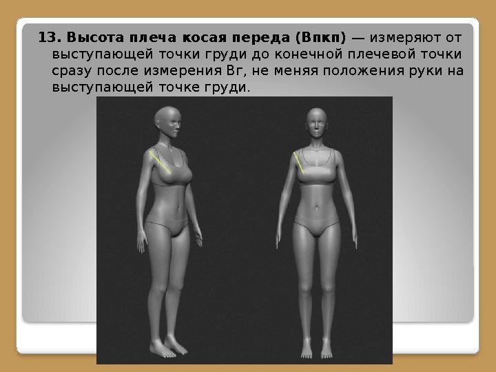 13. Высота плеча косая переда (Впкп) — измеряют от выступающей точки груди до конечной плечевой точки сразу после измерения