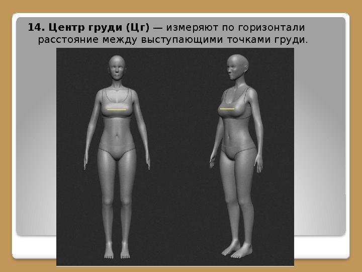 14. Центр груди (Цг) — измеряют по горизонтали расстояние между выступающими точками груди.