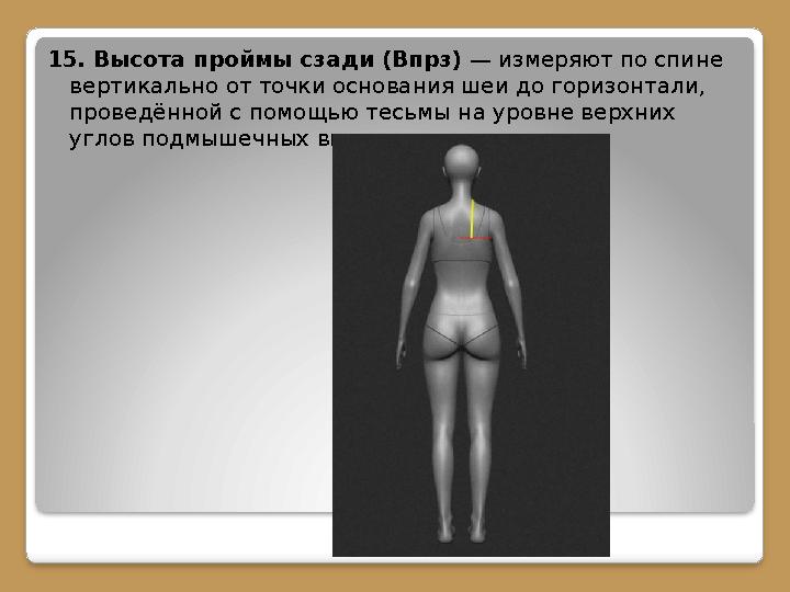 15. Высота проймы сзади (Впрз) — измеряют по спине вертикально от точки основания шеи до горизонтали, проведённой с помощью