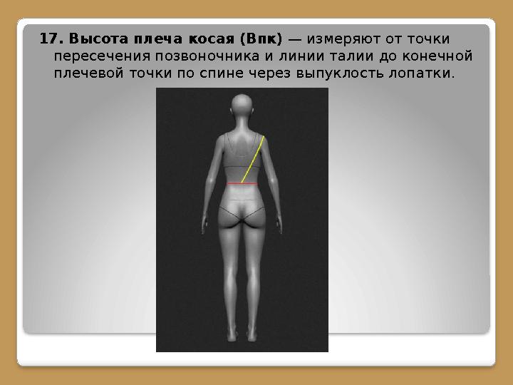 17. Высота плеча косая (Впк) — измеряют от точки пересечения позвоночника и линии талии до конечной плечевой точки по спине
