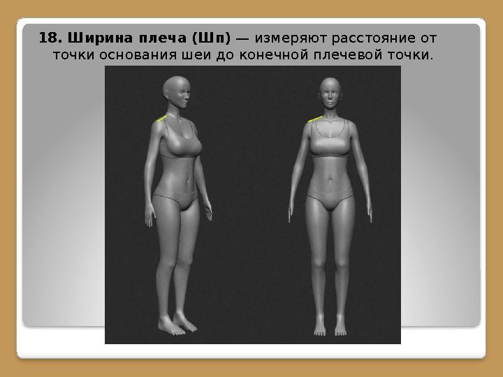 18. Ширина плеча (Шп) — измеряют расстояние от точки основания шеи до конечной плечевой точки.