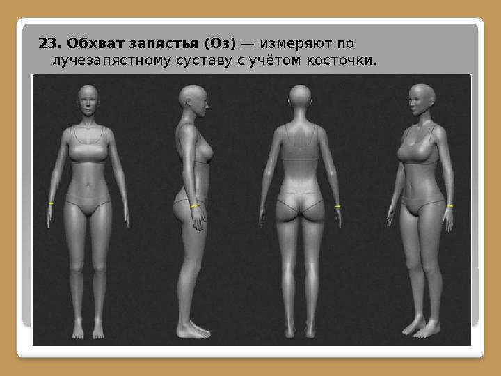 23. Обхват запястья (Оз) — измеряют по лучезапястному суставу с учётом косточки.