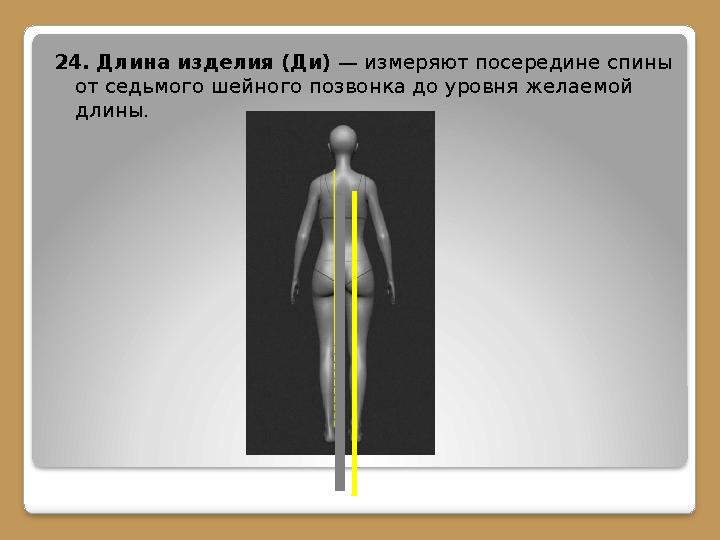 24. Длина изделия (Ди) — измеряют посередине спины от седьмого шейного позвонка до уровня желаемой длины.