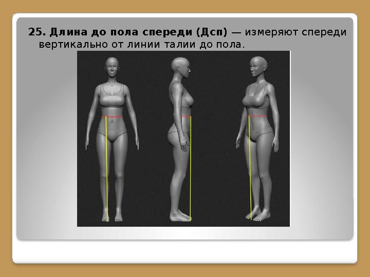 25. Длина до пола спереди (Дсп) — измеряют спереди вертикально от линии талии до пола.