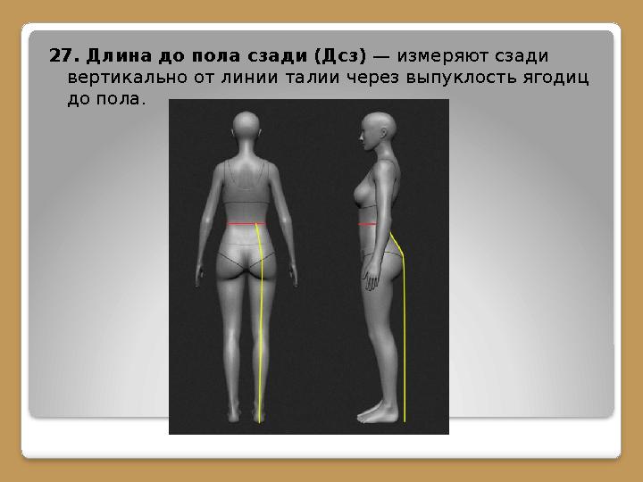 27. Длина до пола сзади (Дсз) — измеряют сзади вертикально от линии талии через выпуклость ягодиц до пола.