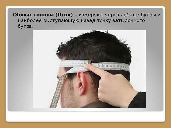 Обхват головы (Огол) – измеряют через лобные бугры и наиболее выступающую назад точку затылочного бугра.