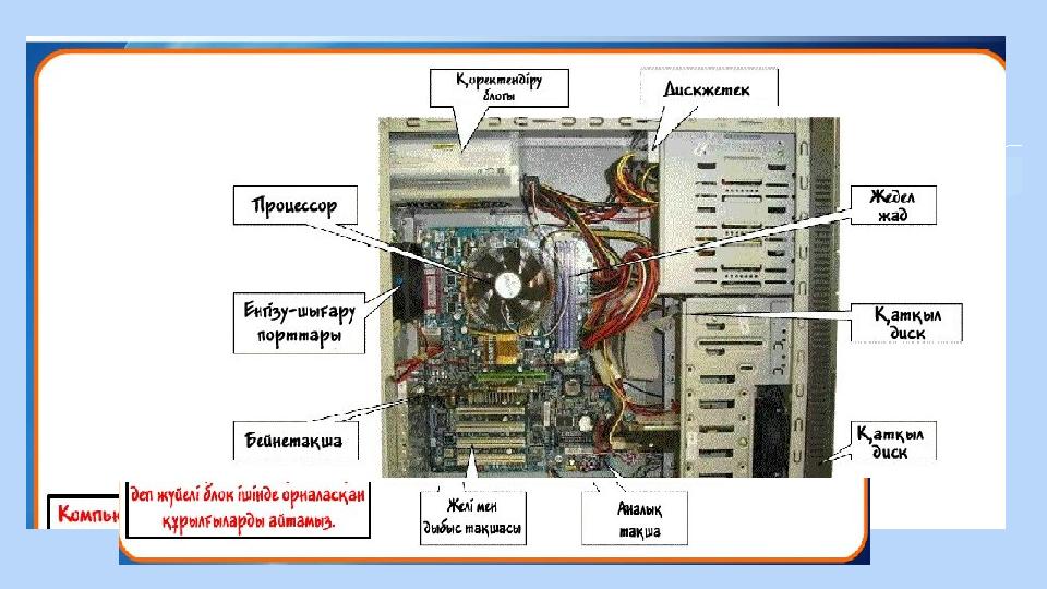 We will talk about this first. Add a brief introduction of your section here: Let’s dive in and get to know some interesting