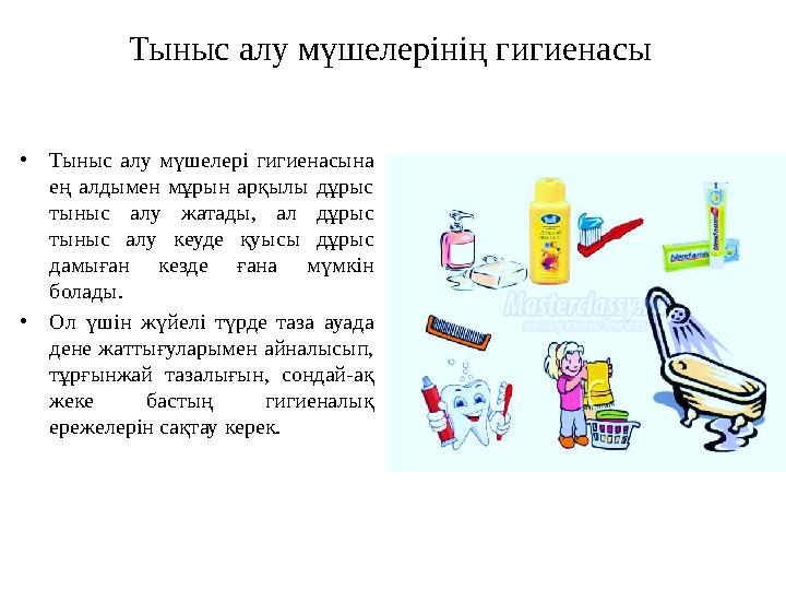 Тыныс алу мүшелерінің гигиенасы •Тыныс алу мүшелері гигиенасына ең алдымен мұрын арқылы дұрыс тыныс алу жатады, ал дұрыс тыны