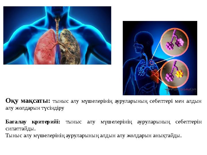 Оқу мақсаты: тыныс алу мүшелерінің ауруларының себептері мен алдын алу жолдарын түсіндіру Бағалау критерийі: тыныс алу мүшелері