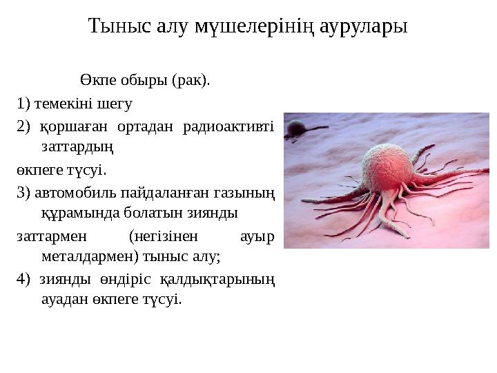 Өкпе обыры (рак). 1) темекіні шегу 2) қоршаған ортадан радиоактивті заттардың өкпеге түсуі. 3) автомобиль пайдаланған газының