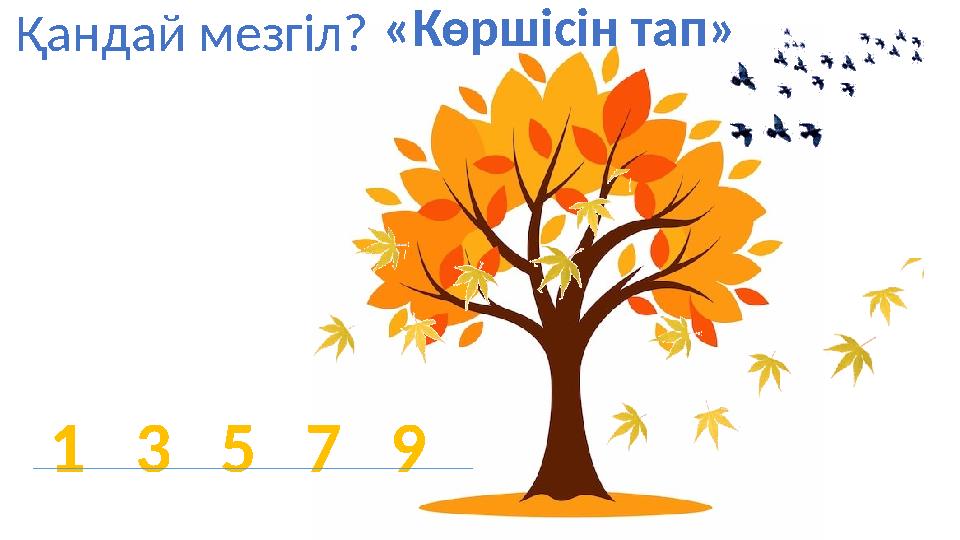 1 3 5 7 9 Қандай мезгіл?«Көршісін тап»