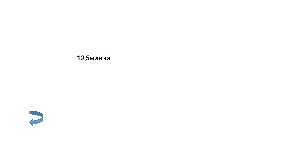 10,5млн ға