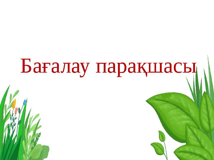 Бағалау парақшасы