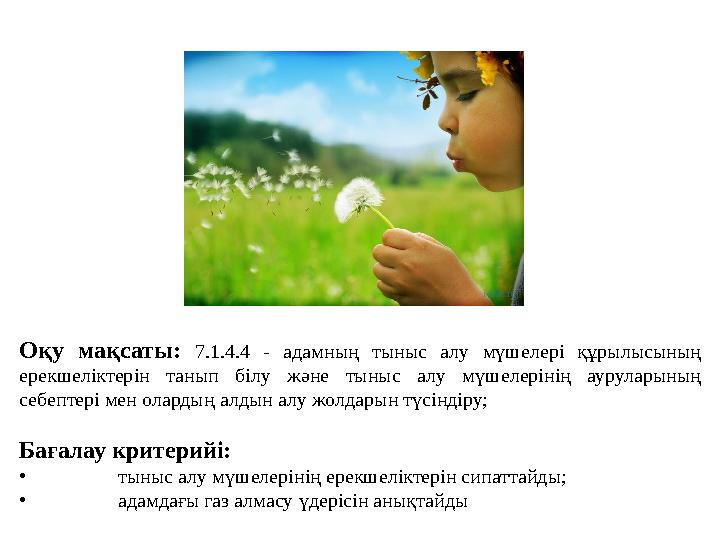 Оқу мақсаты: 7.1.4.4 - адамның тыныс алу мүшелері құрылысының ерекшеліктерін танып білу және тыныс алу мүшелерінің ауруларының