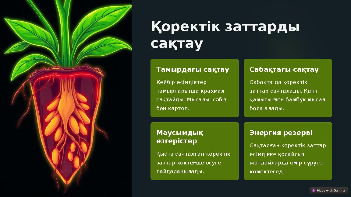 Қоректік заттарды сақтау Тамырдағы сақтау Кейбір өсімдіктер тамырларында крахмал сақтайды. Мысалы, сәбіз бен картоп. Сабақт