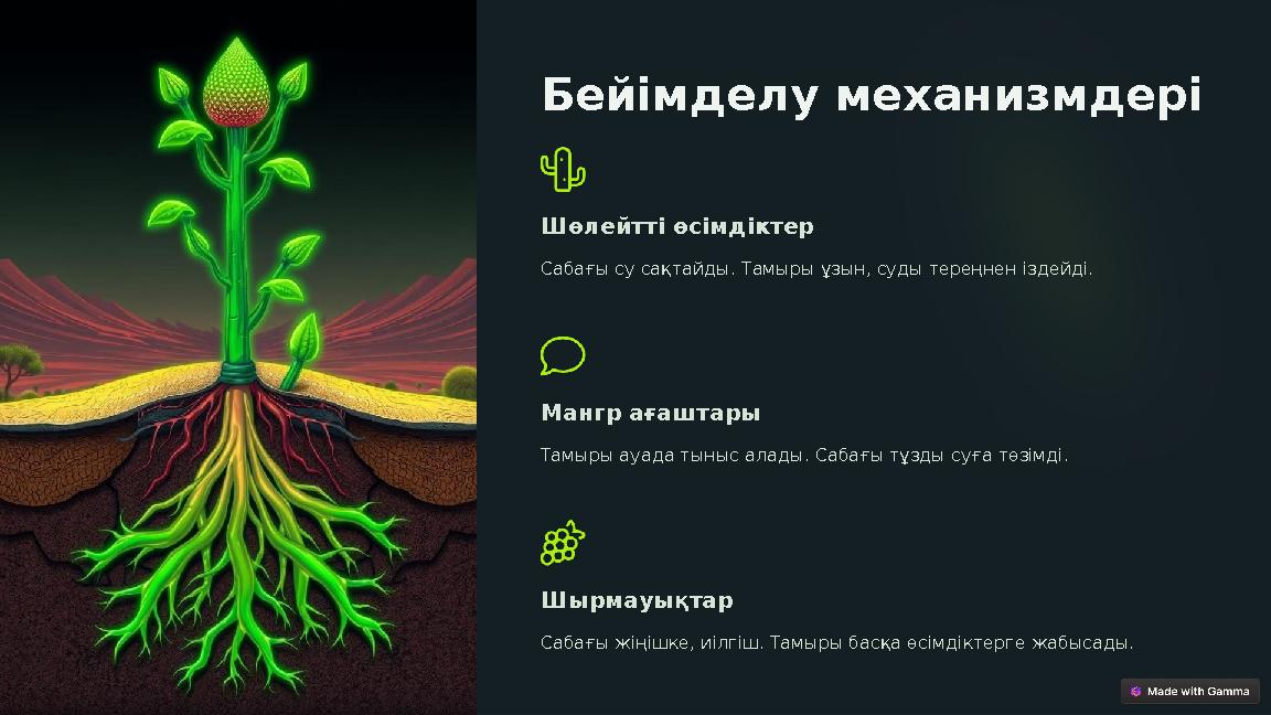 Бейімделу механизмдері Шөлейтті өсімдіктер Сабағы су сақтайды. Тамыры ұзын, суды тереңнен іздейді. Мангр ағаштары Тамыры ауада