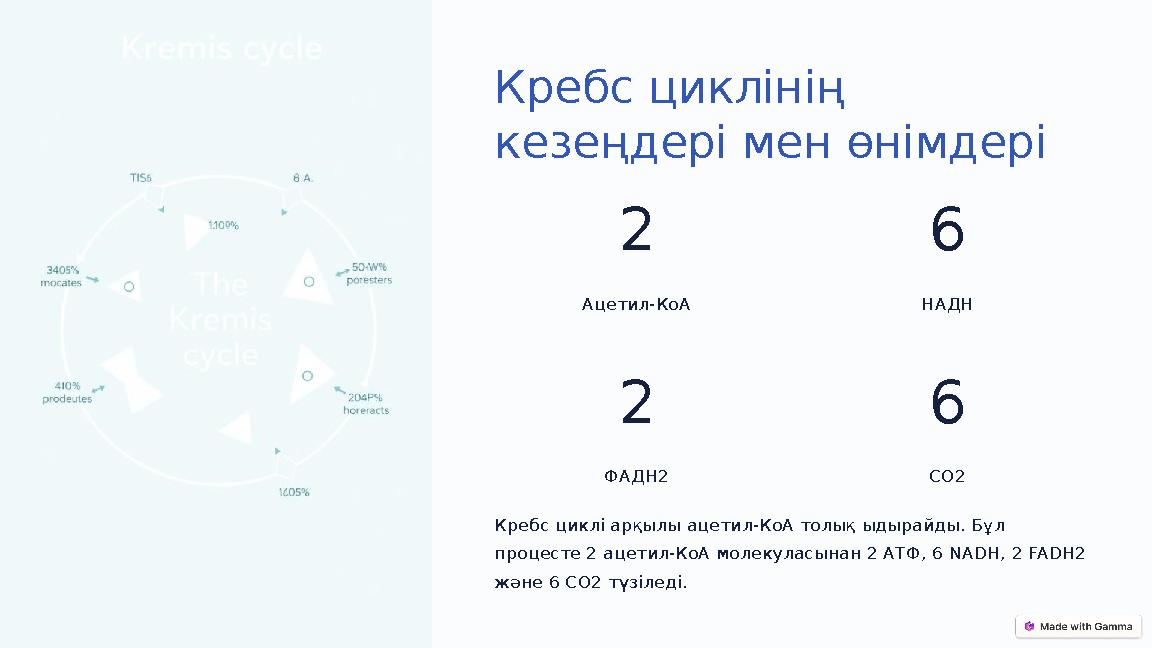 Кребс циклінің кезеңдері мен өнімдері 2 Ацетил-КоА 6 НАДН 2 ФАДН2 6 СО2 Кребс циклі арқылы ацетил-КоА толық ыдырайды. Бұл проц