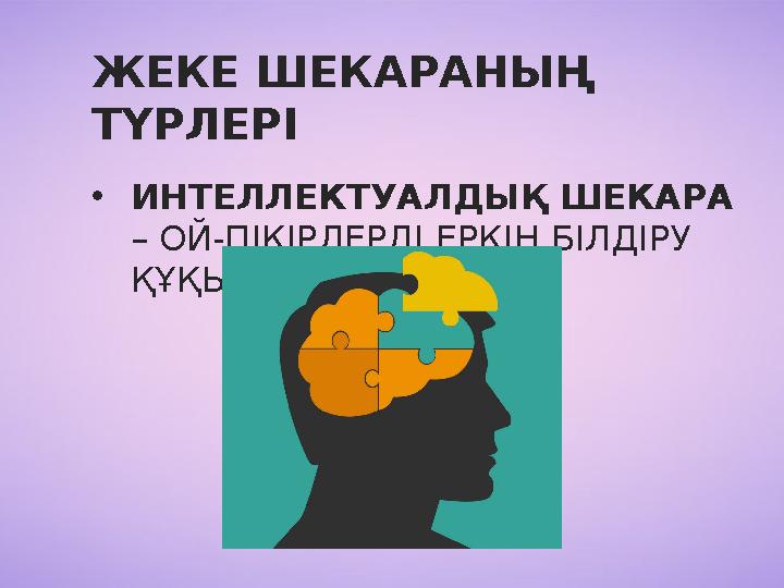 ЖЕКЕ ШЕКАРАНЫҢ ТҮРЛЕРІ •ИНТЕЛЛЕКТУАЛДЫҚ ШЕКАРА – ОЙ-ПІКІРЛЕРДІ ЕРКІН БІЛДІРУ ҚҰҚЫҒЫ.
