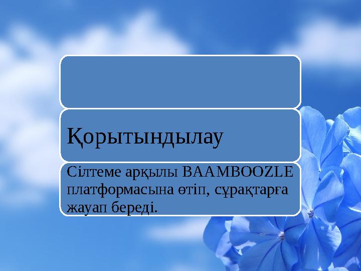 Қорытындылау Сілтеме арқылы BAAMBOOZLE платформасына өтіп, сұрақтарға жауап береді.