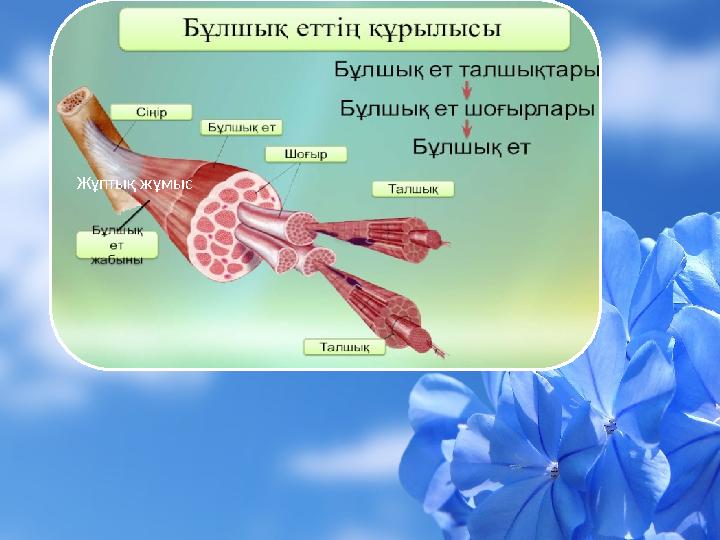 Жұптық жұмыс