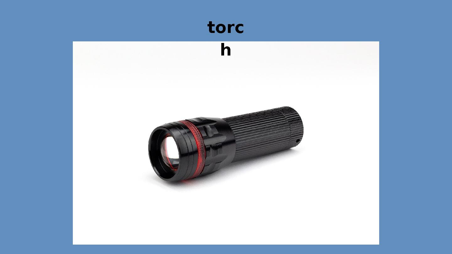 torc h