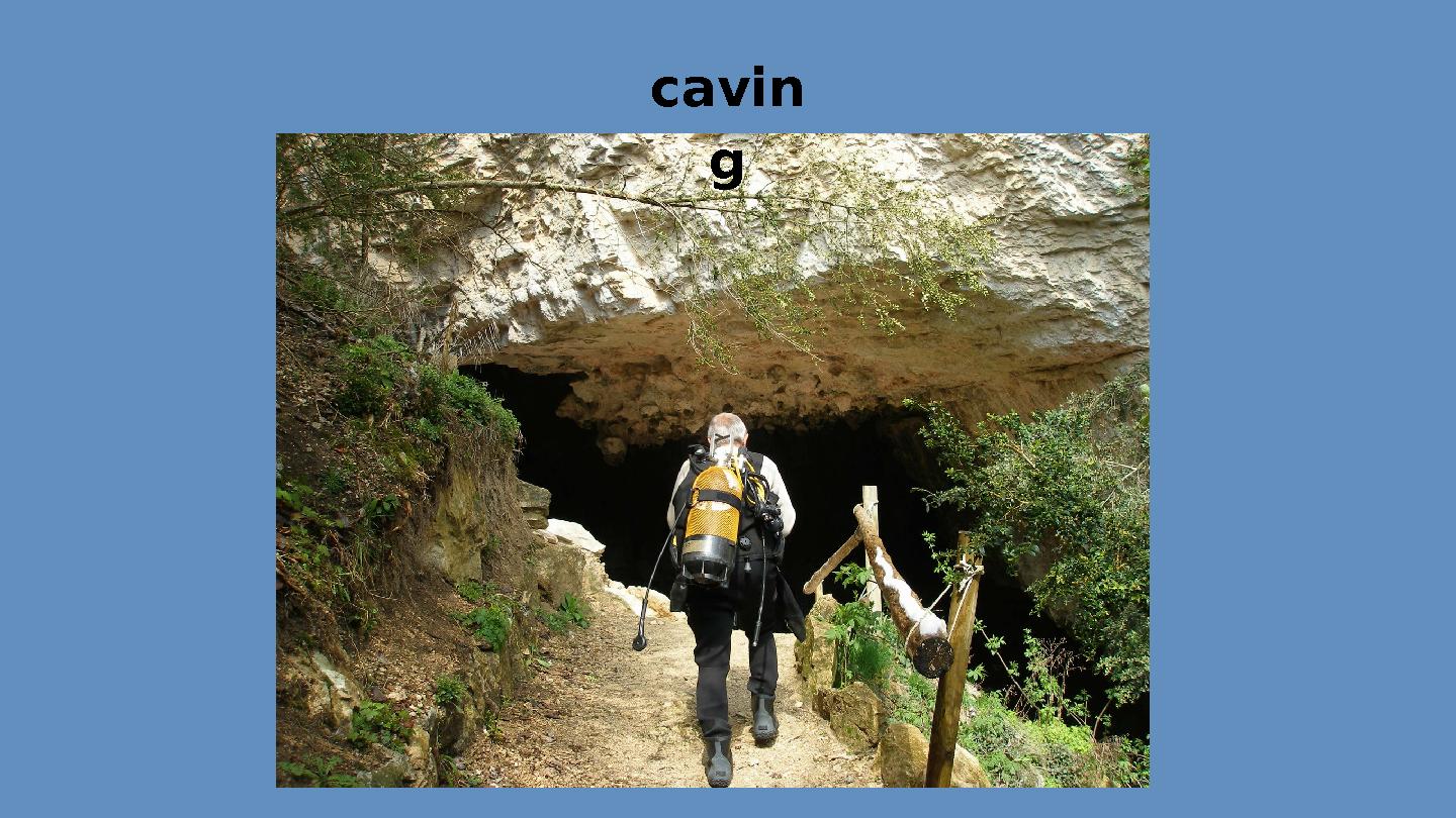 cavin g