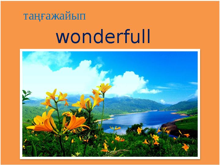 wonderfull таңғажайып