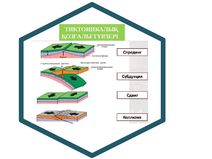 и р о м р ТИКТОНИКАЛЫҚ ҚОЗҒАЛЫ ТҮРЛЕРІ