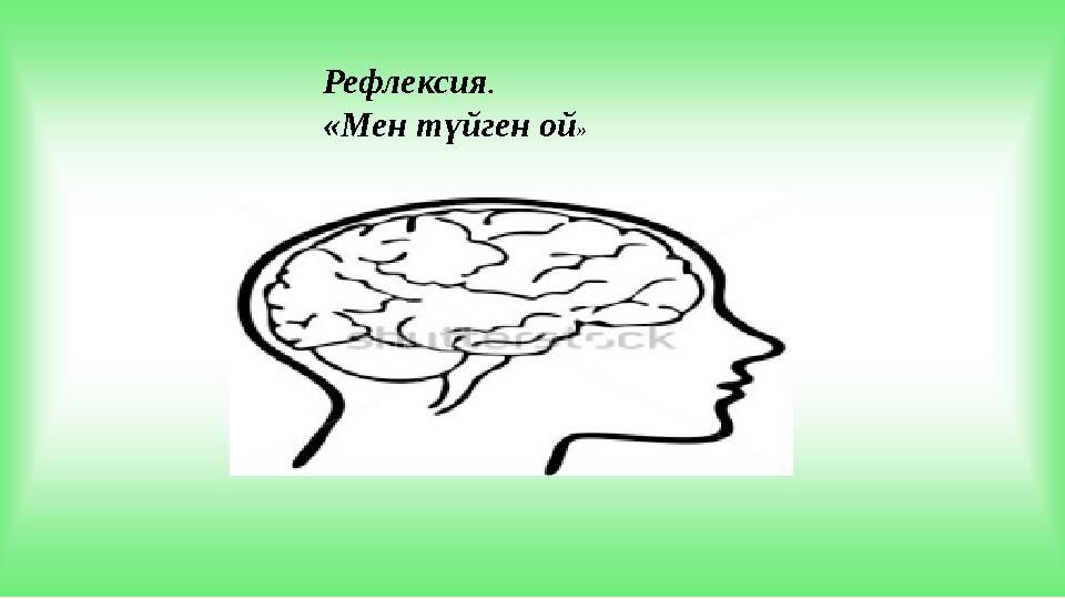 Рефлексия. «Мен түйген ой»