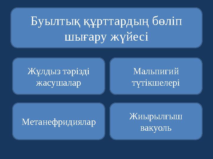 Буылтық құрттардың бөліп шығару жүйесі Жұлдыз тәрізді жасушалар Метанефридиялар Жиырылғыш вакуоль Мальпигий түтікшелері