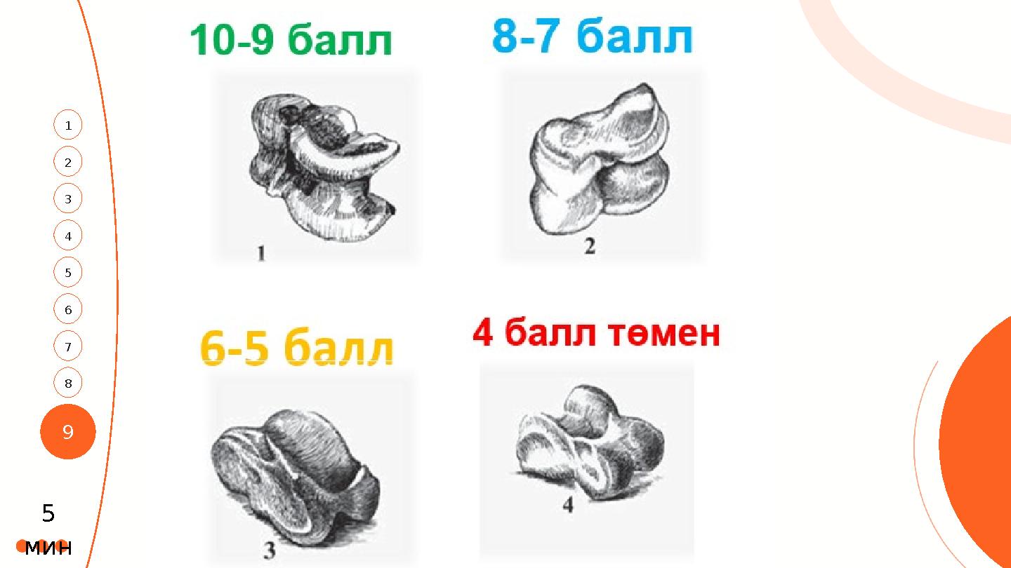 9 3 1 4 2 6 5 7 8 5 мин