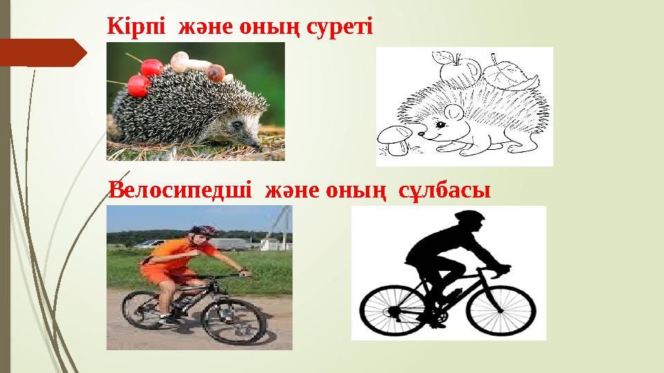 Кірпі және оның суреті Велосипедші және оның сұлбасы