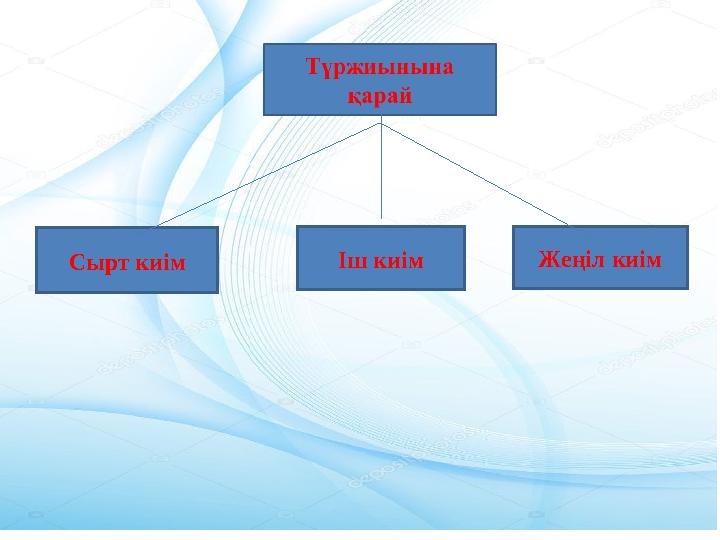 Сырт киім Іш киім Жеңіл киім