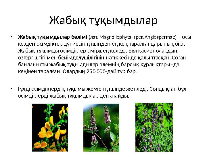 Жабық тұқымдылар •Жабық тұқымдылар бөлімі (лат. Magnoliophyta, грек.Angiospermae) – осы кездегі өсімдіктер дүниесінің ішіндегі