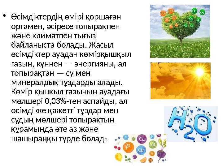 •Өсімдіктердің өмірі қоршаған ортамен, әсіресе топырақпен және климатпен тығыз байланыста болады. Жасыл өсімдіктер ауадан кө