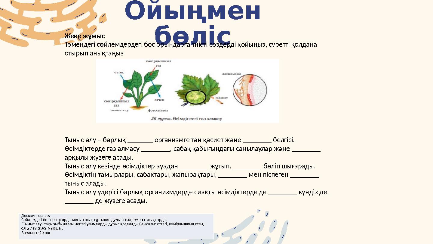 Ойыңмен бөліс Жеке жұмыс Төмендегі сөйлемдердегі бос орындарға тиісті сөздерді қойыңыз, суретті қолдана отырып анықтаңыз Тыныс