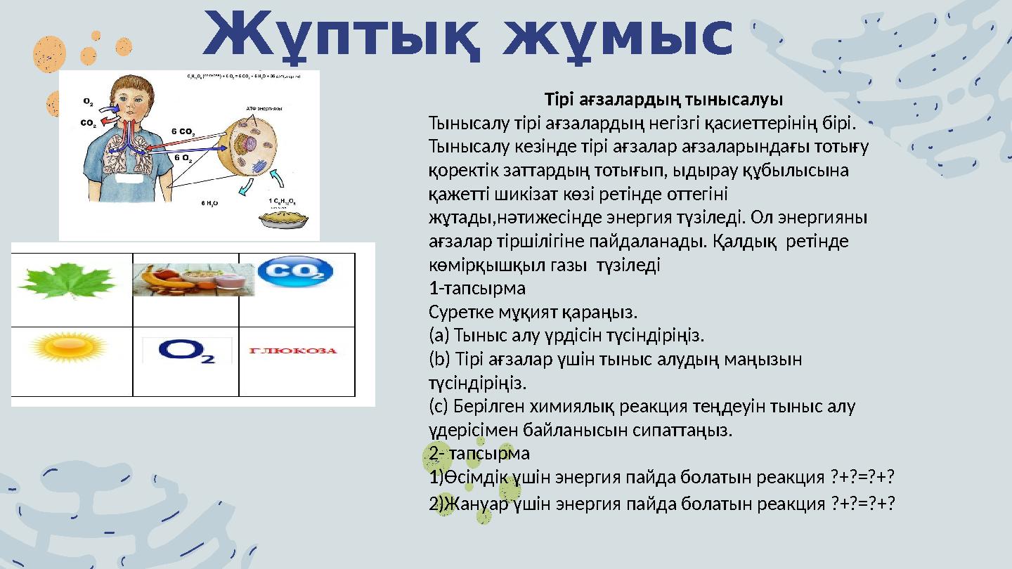 Жұптық жұмыс Тірі ағзалардың тынысалуы Тынысалу тірі ағзалардың негізгі қасиеттерінің бірі. Тынысалу кезінде тірі ағзалар ағз