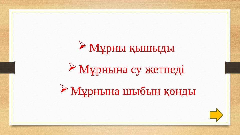 Мұрны қышыды Мұрнына су жетпеді Мұрнына шыбын қонды