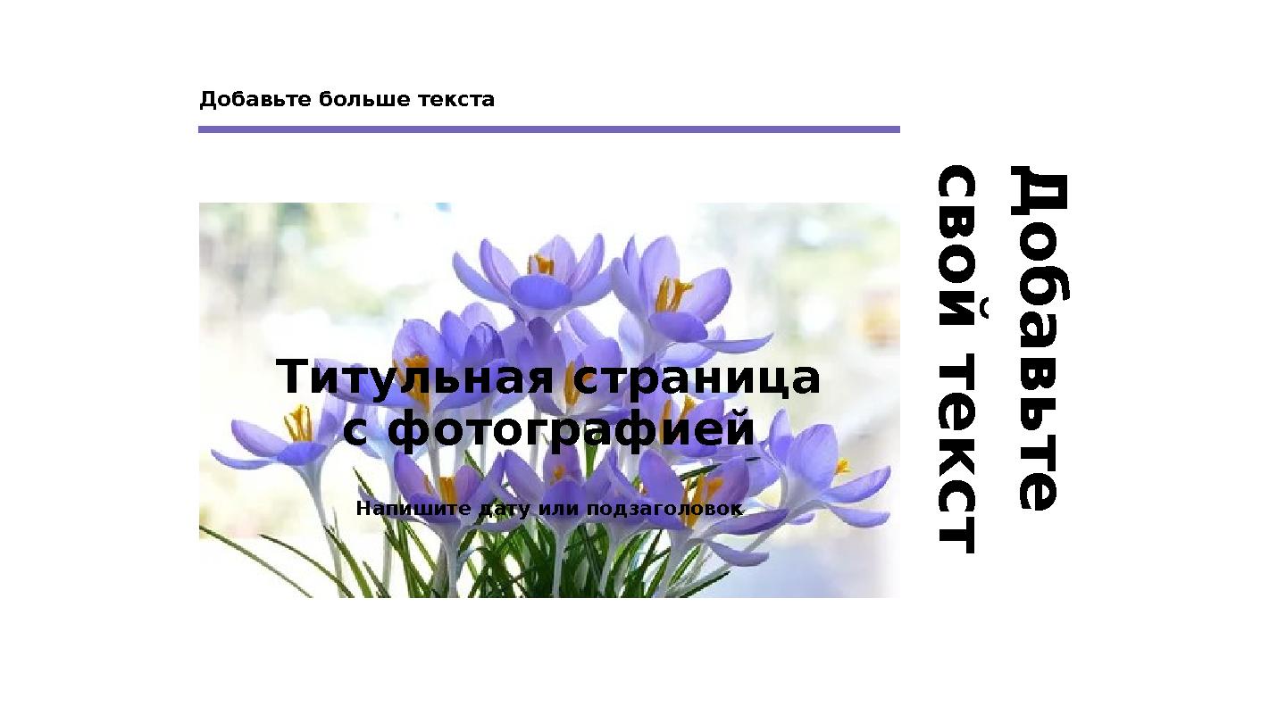 Д о б а в ь т е с в о й т е к с т Добавьте больше текста Титульная страница с фотографией Напишите дату или подзаголовок
