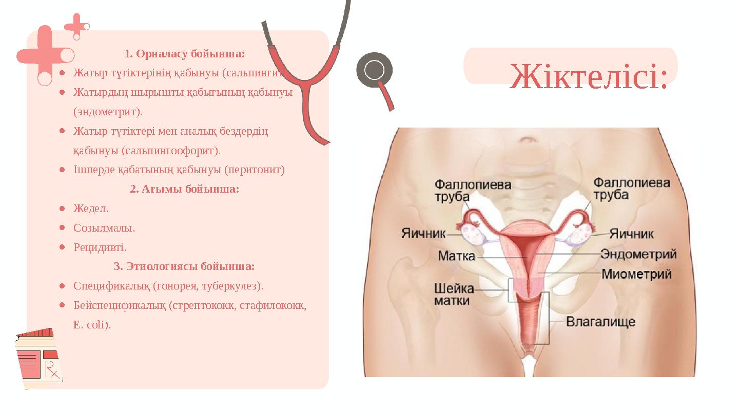 1. Орналасу бойынша: ●Жатыр түтіктерінің қабынуы (сальпингит). ●Жатырдың шырышты қабығының қабынуы (эндометрит). ●Жатыр түтікте