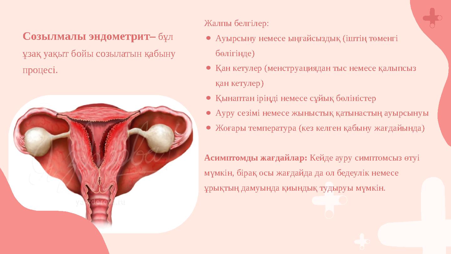 Жалпы белгілер: ●Ауырсыну немесе ыңғайсыздық (іштің төменгі бөлігінде) ●Қан кетулер (менструациядан тыс немесе қалыпсыз қан ке