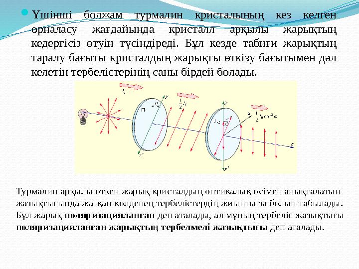 Үшінші болжам турмалин кристалының кез келген орналасу жағдайында кристалл арқылы жарықтың кедергісіз өтуін түсіндіреді. Бұл