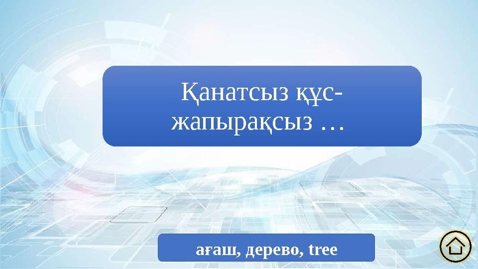 Қанатсыз құс- жапырақсыз … ағаш, дерево, tree