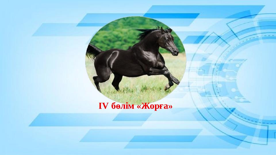 ІV бөлім «Жорға»